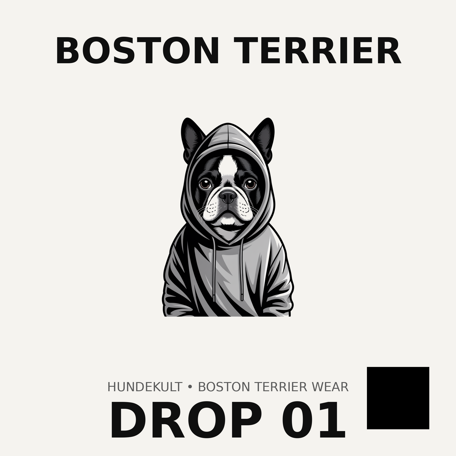 Boston Terrier Drop 01